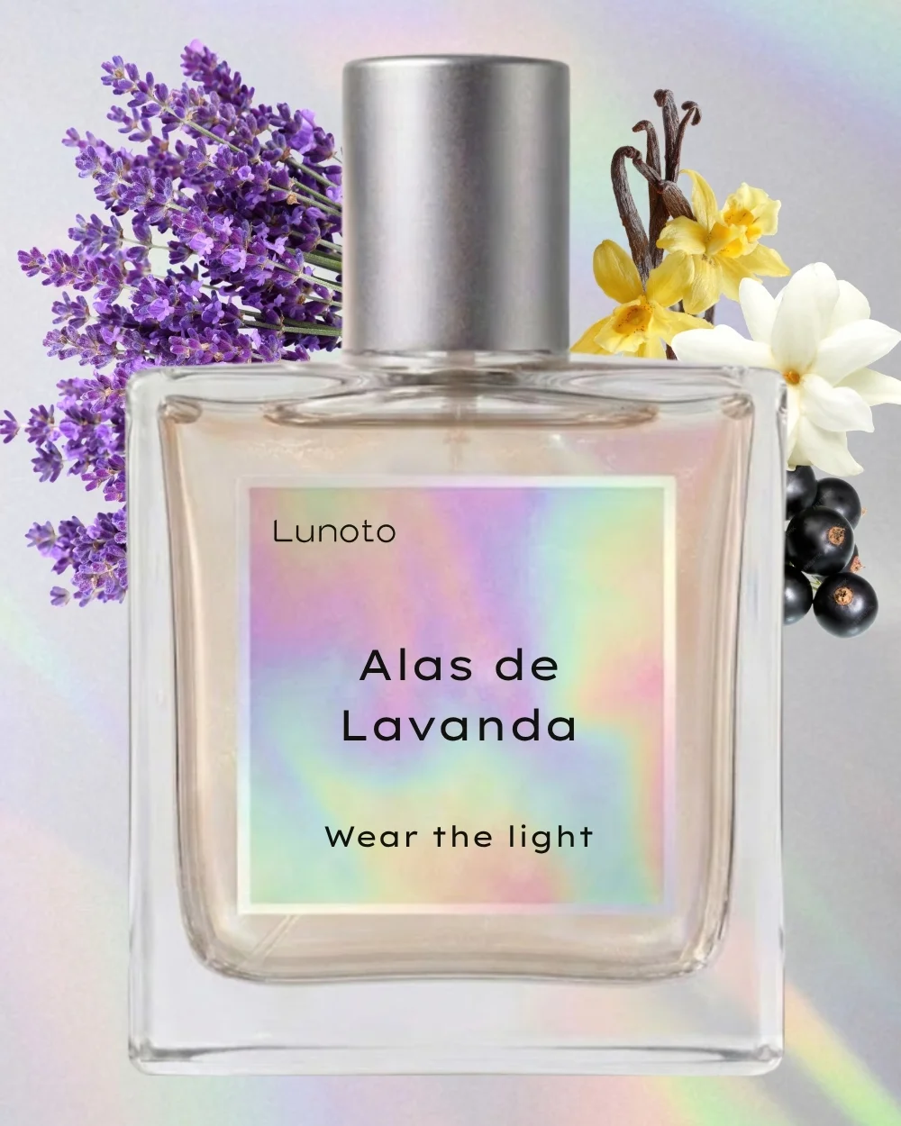 Alas de Lavanda 