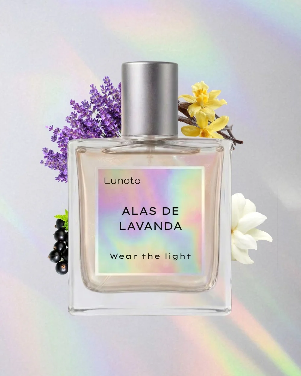 Alas de Lavanda 