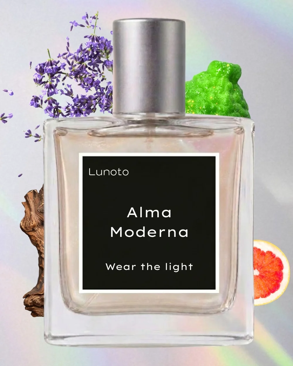 Alma Moderna