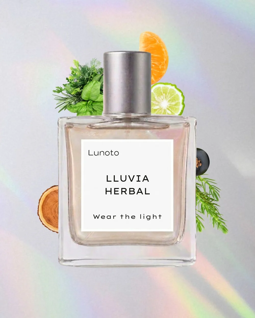 Lluvia Herbal